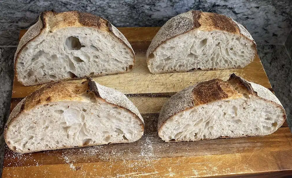 Beginner Artisan Sourdough Bread Recipe 5 Two sourdough loaves cold proofed overnight showing difference between open crumb and tighter crumb structure