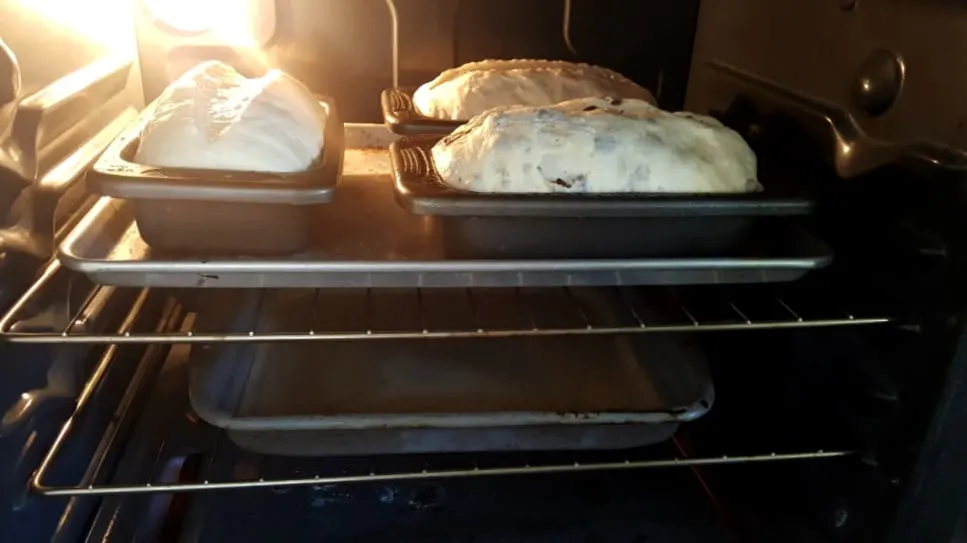 three sourdough loaves baking in bread pans with water bath