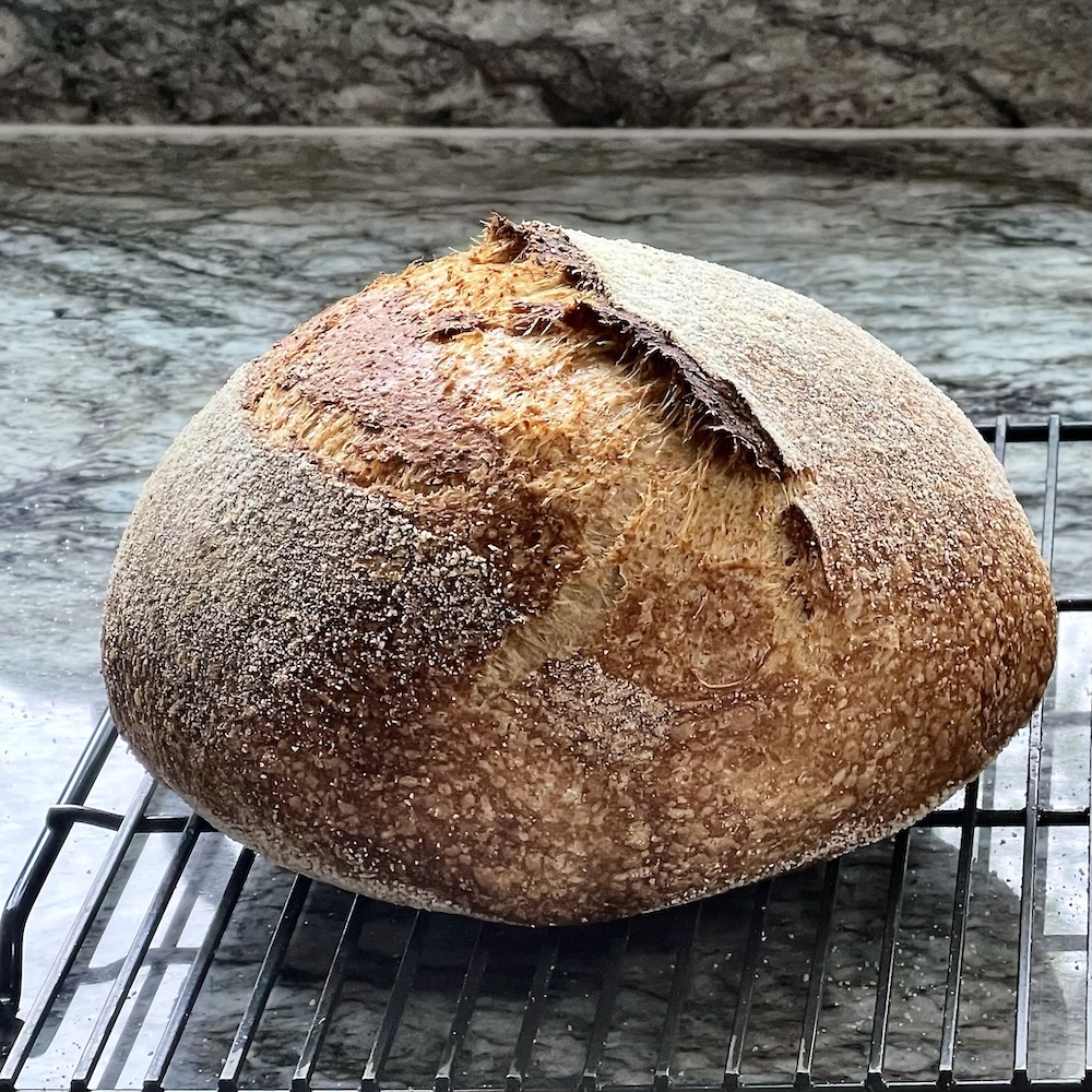 How to Shape Sourdough Bread (Build Tension for Better Oven Spring and Crumb) 16 1/3 home milled white whole wheat flour sourdough