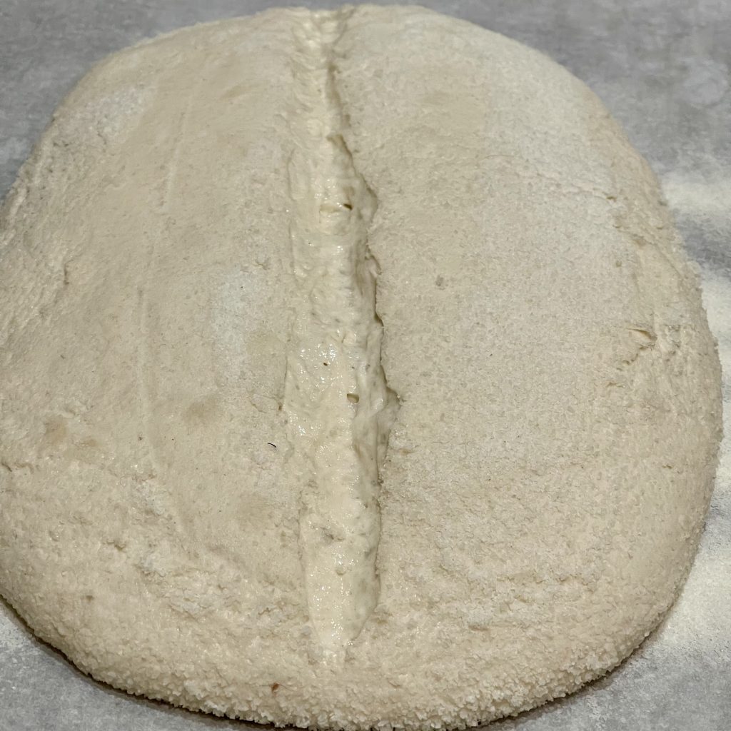 How to Shape Sourdough Bread (Build Tension for Better Oven Spring and Crumb) 21 score- loaf lost all structure during cold proof