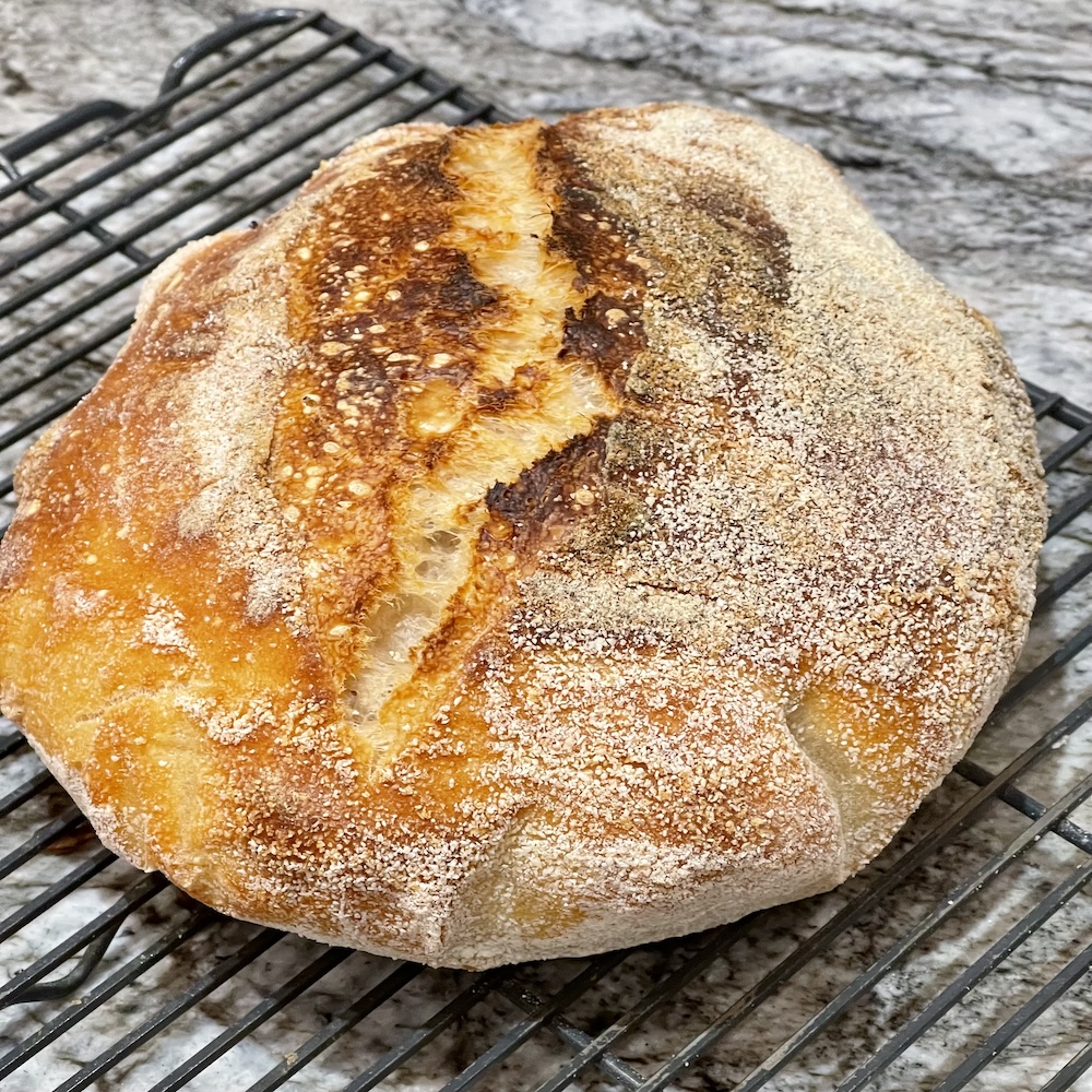 How to Shape Sourdough Bread (Build Tension for Better Oven Spring and Crumb) 23 very sticky-low structure dough