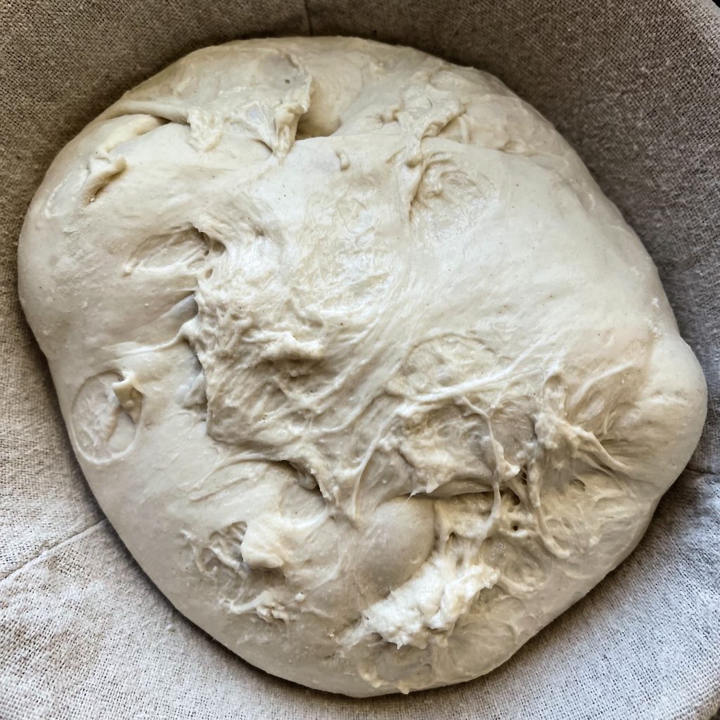 How to Shape Sourdough Bread (Build Tension for Better Oven Spring and Crumb) 19 in banneton after shape- still full of air