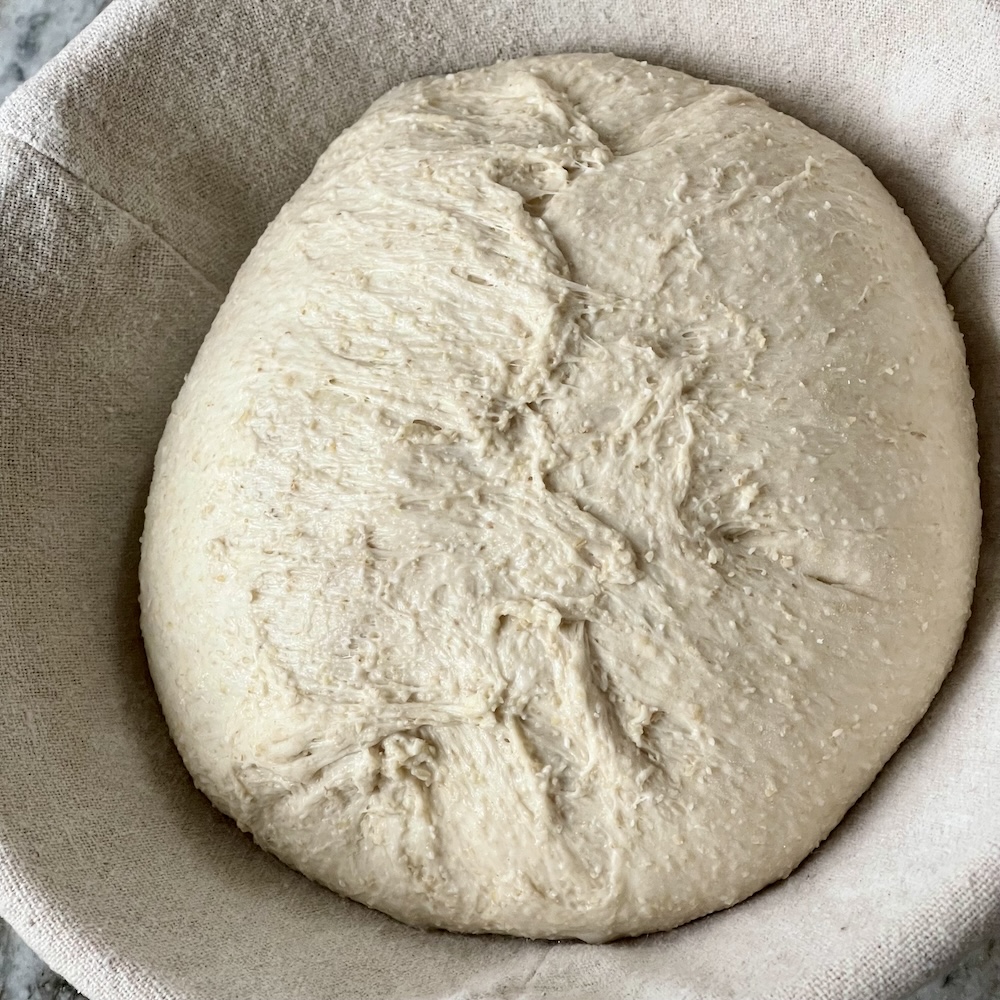 What Is Dough Structure in Sourdough? 15 dough shaped and in banneton ready for final proof before score and bake.