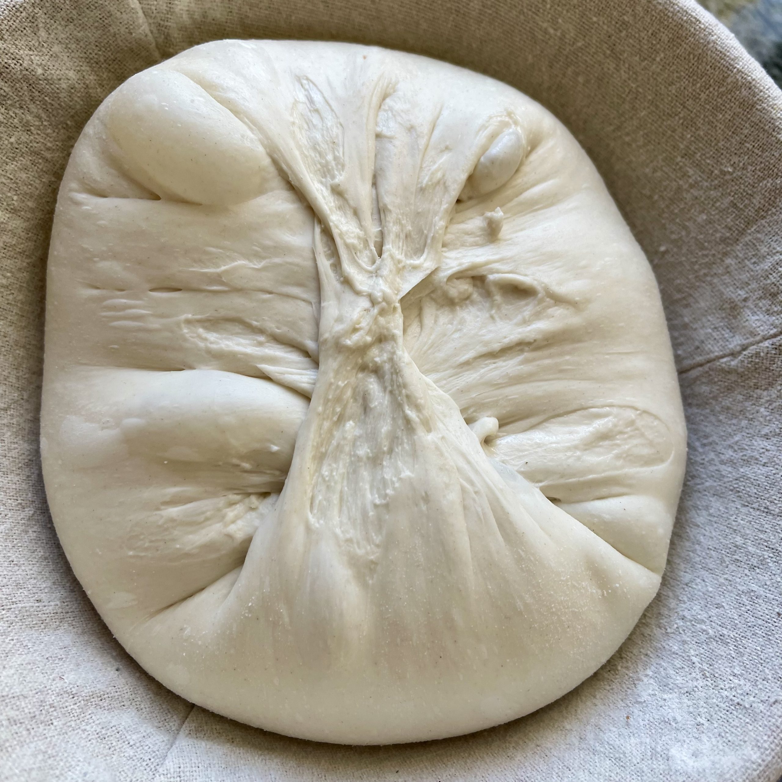 Beginner Artisan Sourdough Bread Recipe 28 dough in banneton. shaping affects crumb structure