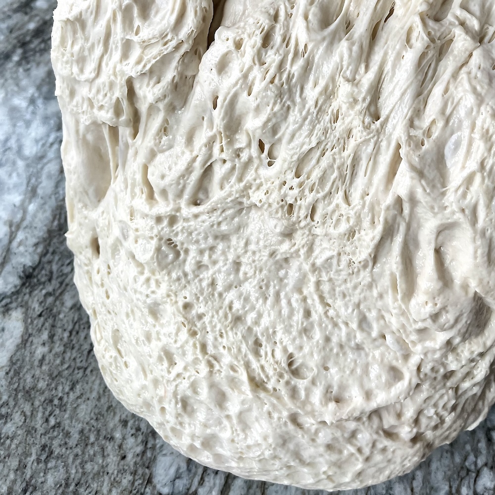 What Is Dough Structure in Sourdough? 1 raw dough showing dough structure in sourdough
