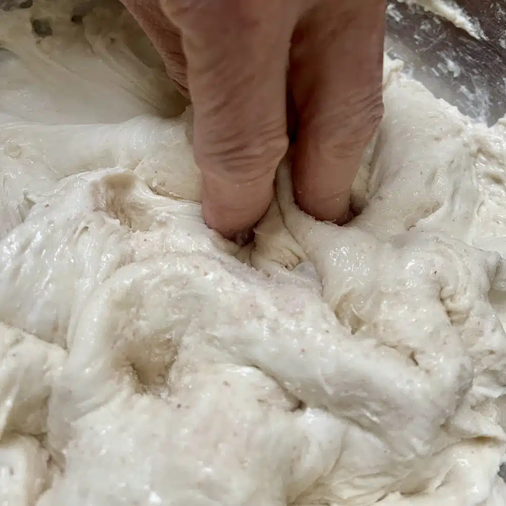 showing fingers dimpling starter and salt into autolysed dough