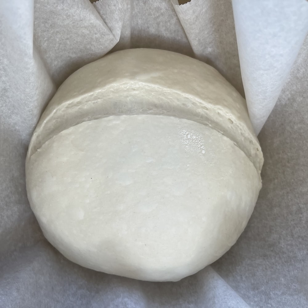 S&F dough scored and ready to bake sitting on parchment in dutch oven