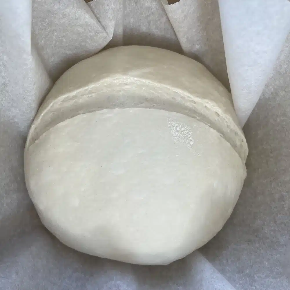 S&F dough scored and ready to bake sitting on parchment in dutch oven