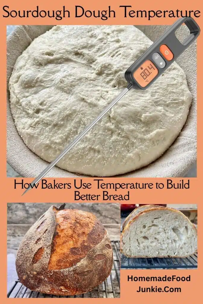 sourdough dough temperature pin image