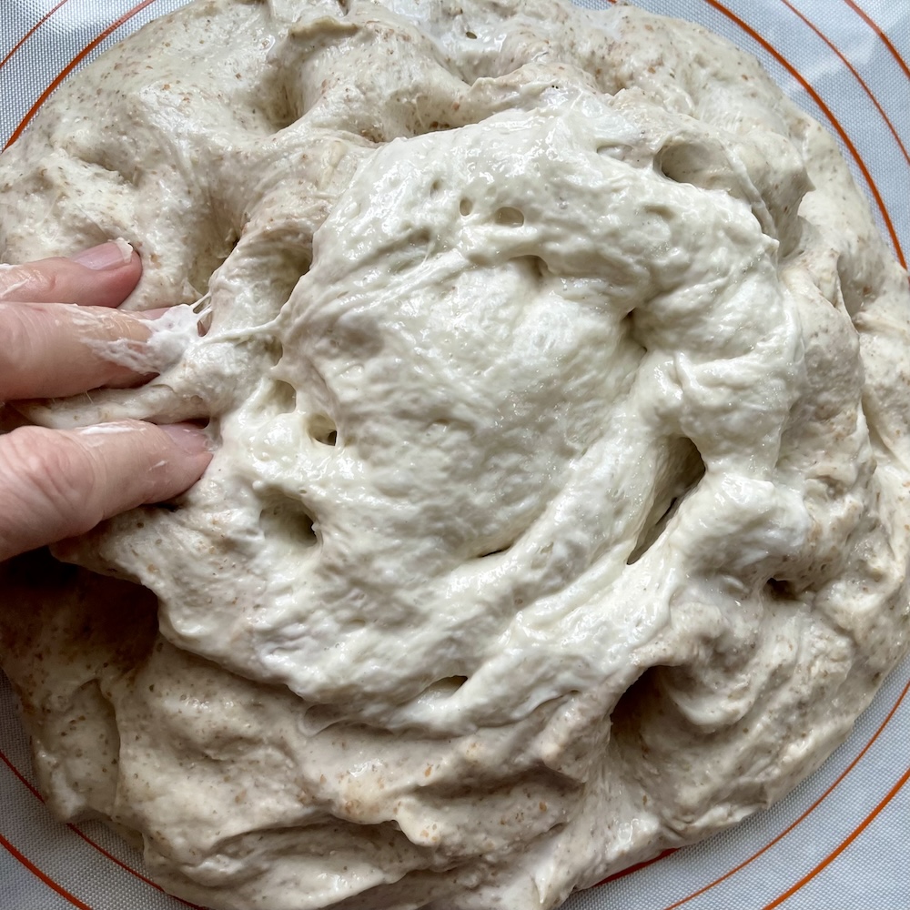 Autolyse vs Fermentolyse vs Saltolyse: Which Sourdough Mixing Method Should You Use? 3 adding starter saltoyse