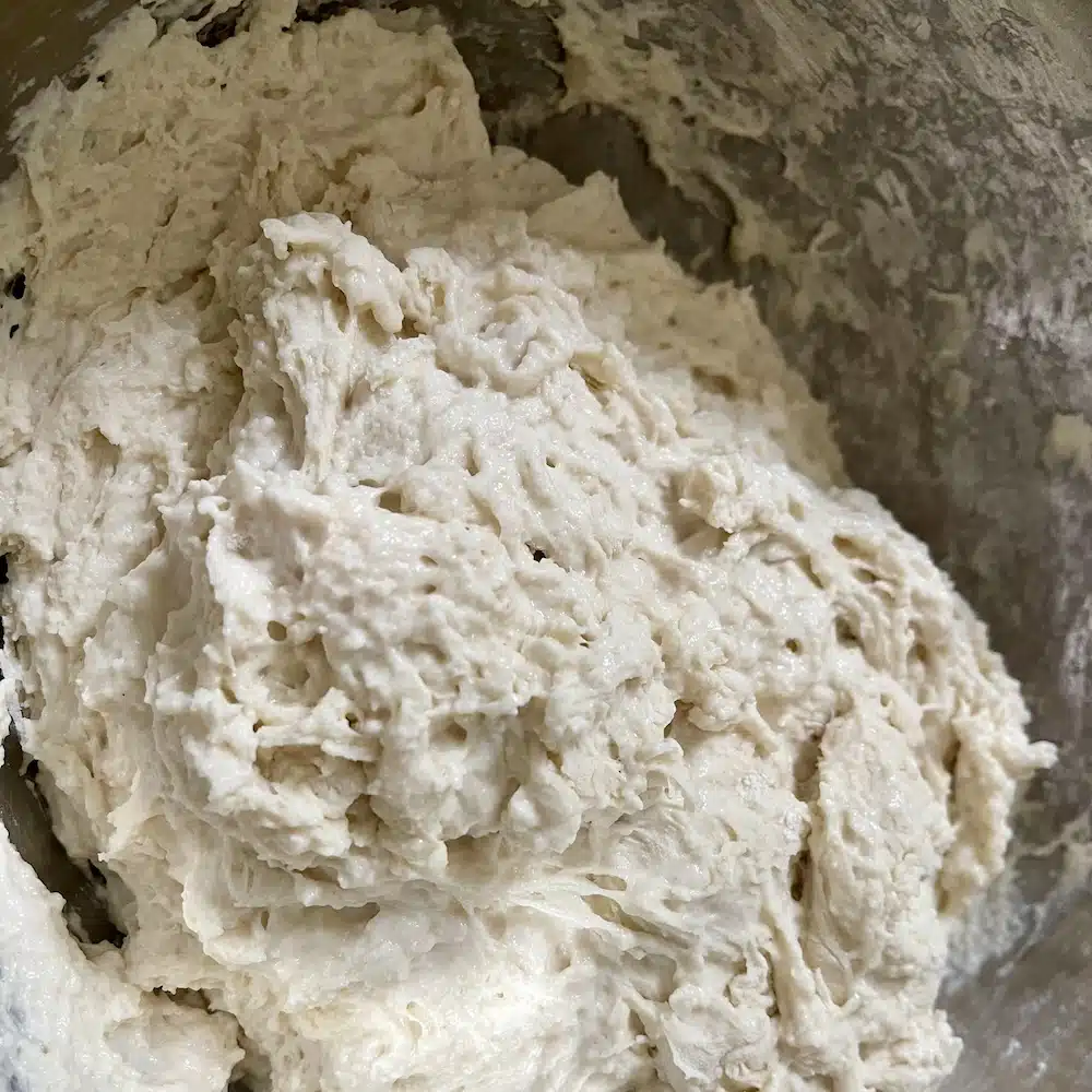 autolyse- partial dough of flour and water is resting in pan to hydrate