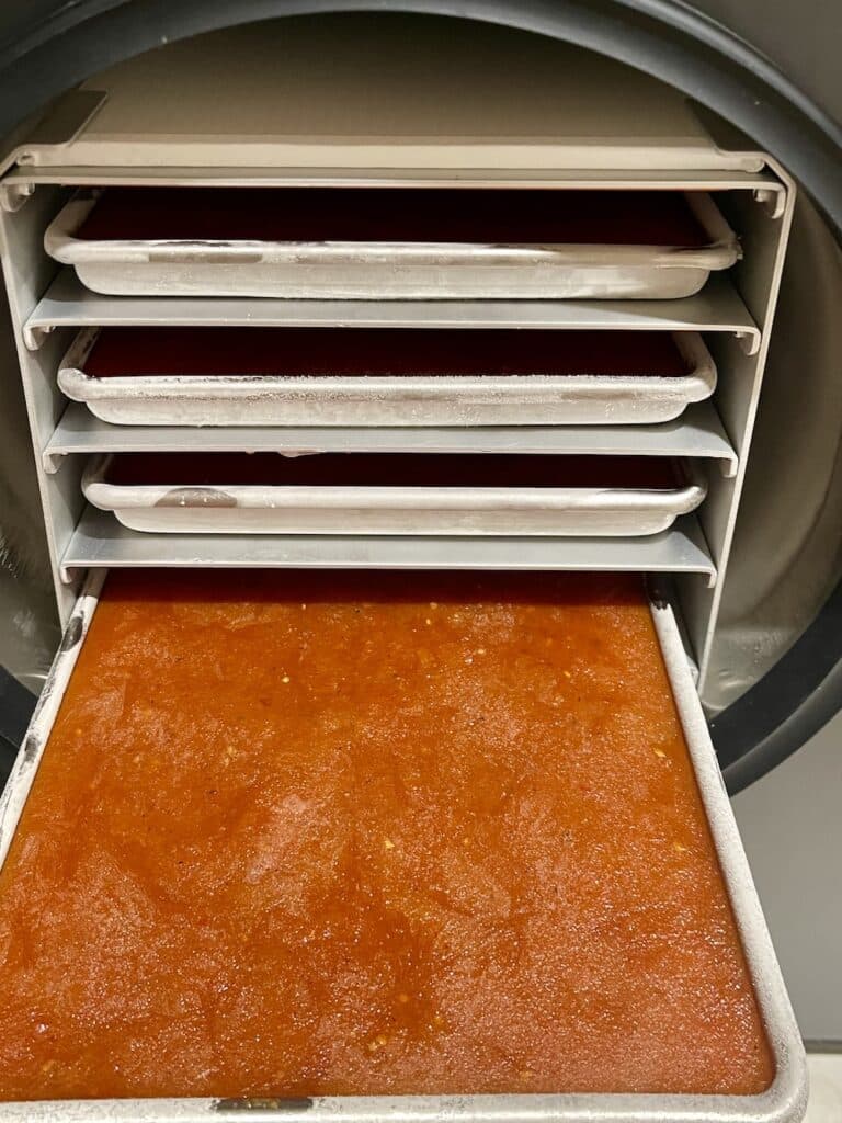 Harvest Right Countertop 360 Freeze Dryer: My First Look 5 freeze drying tomato sauce-360 countertop freeze dryer