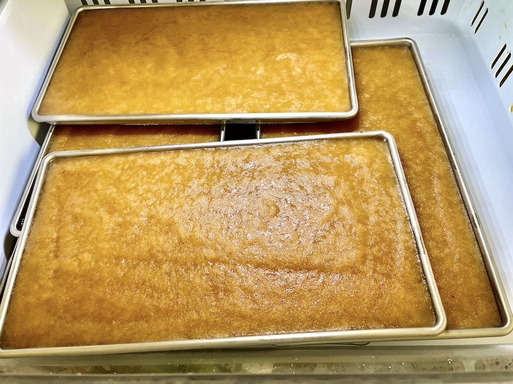 Harvest Right Countertop 360 Freeze Dryer: My First Look 9 pre-freezing applesauce for freeze drying