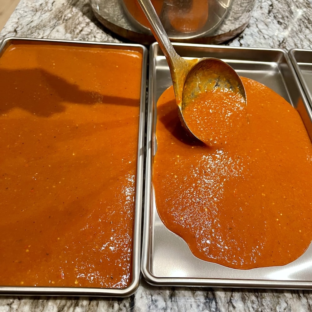 Harvest Right Countertop 360 Freeze Dryer: My First Look 16 freeze drying tomato sauce